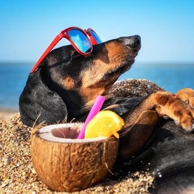 bigboyOB_'s profile picture. Manchester united ❤️❤️