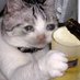 ᵐᵃᵐᵃMindmint (@mama336698051) Twitter profile photo ᵐᵃᵐᵃMindmint (@mama336698051) Twitter profile photo