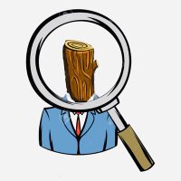 Scout en Bois (@scout_en_bois) 's Twitter Profile