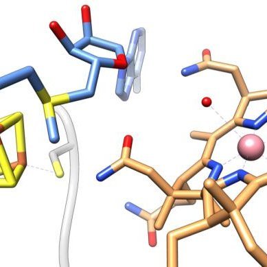 News and views from the Chemical Biology STP @TheCrick