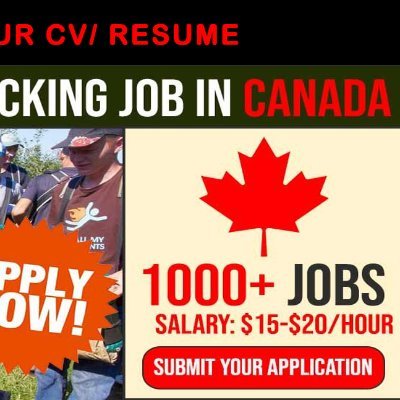 We are currently looking for Jobs in Canada for all nationality  .  (Male & female) for one of the reputed Company in Canada  . We provide Free of cost.