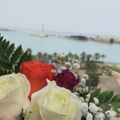 Azza Althagafi Profile