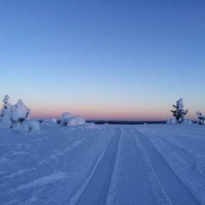 polaris_pohjola's profile picture. MAZZEL♡最推し🦅(🐿️☕️🐰寄り📦)MUZE♡/MOOMIN🇫🇮/台湾ごはん🇹🇼/好きなもの渋滞中/いいねRP多め/🦉💬🔰