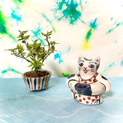 つきさんのプロフィール画像