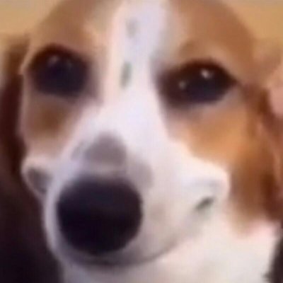 XT2L5tGvUJIZVdX's profile picture. 愛看男娘