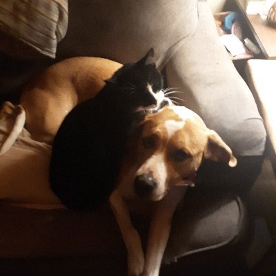 AnnLandon8463's profile picture. 