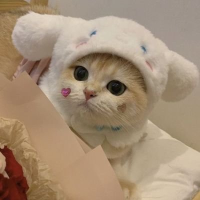 fan account /💗
old account @SoneriSwapnaa/////////🌼 Samjhali nahi re duniyadaari🌱