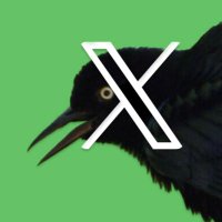 Mark Ficek (@papachote) 's Twitter Profile