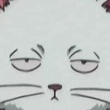 돆さんのプロフィール画像