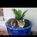 shane oconnell - @oconnell_shane - Twitter