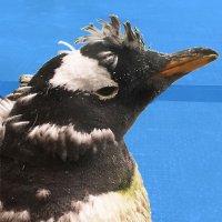 μia tαkeδa (@murmurmia) 's Twitter Profile Photo