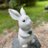 xiaowu_rabbit