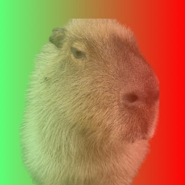 mmoc426's profile picture. 