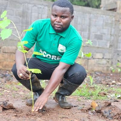 Sociologue Environmentaliste,
Directeur Exécutif ONG ACOREC;
Spécialiste en Evaluation Environmentale et Sociale;
Spécialiste en Sauvegarde Sociale et Genre.