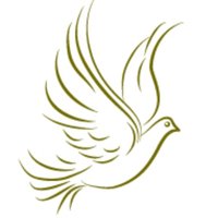 The Amazing Human Ladle (@thehumanspoon) 's Twitter Profile