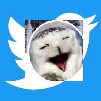 Ms.Rin, Gender≠Sex🦕ジェンダーと性別は別。有性生殖は精子と卵子 (@rinn215) 's Twitter Profile