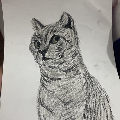 Pasargadago's profile picture. Look around, choose your own ground