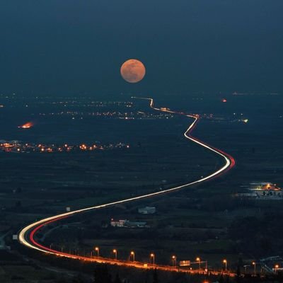 ocoy114's profile picture. 