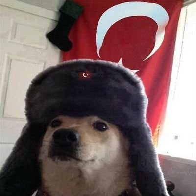 yavruparator's profile picture.