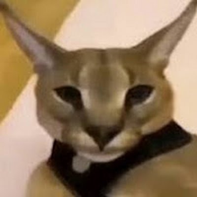 MEETBHANUS61087's profile picture. 