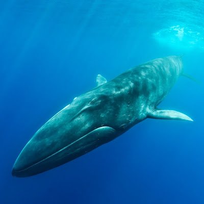 dannykessler77's profile picture. 