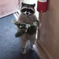 Dusty_vaanz (@sherbertshark7) 's Twitter Profile