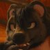 Wix After Dark (@skunkclipse) Twitter profile photo Wix After Dark (@skunkclipse) Twitter profile photo
