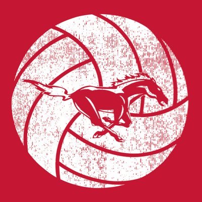 The official Twitter account of Edgewood Mustangs Volleyball.