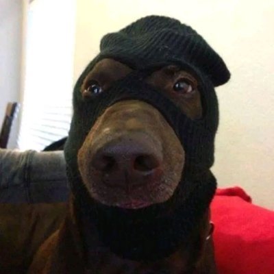 BaptisteLenus's profile picture. 