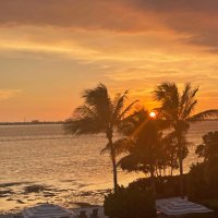 Pops Plitt (@popsplitt) 's Twitter Profile Photo