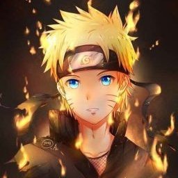 A beginner Naruto in the world of crypto!