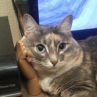 Bleeping Blank (@bleeping_blank) 's Twitter Profile