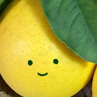 cocochi (@cococrystal6) 's Twitter Profile