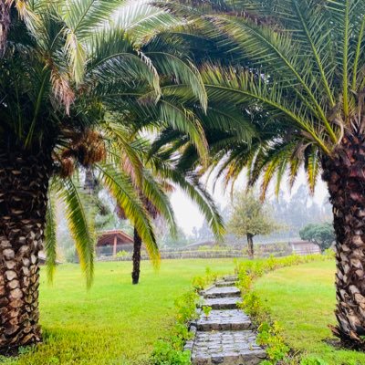 Gisella_Salazar's profile picture. La mejor manera de demostrarle a la vida lo bien que lo pasamos, es una sonrisa.