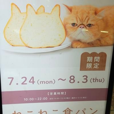 手術中のミスで母が心タンポナーデになり危篤。姉は聴神経腫瘍、父は癌の転移で他界。癌の辛さは本人でないとわからないとつぶやいてる人いますが、関わって寄り添って看てる家族も割と辛いので、時々つぶやかせて下さい。