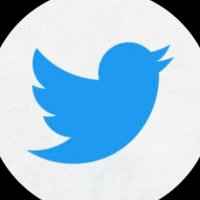 haunted tweet (@zandywithaz) 's Twitter Profile