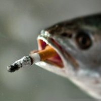 Horace Batchelor (@phil180652) 's Twitter Profile Photo Horace Batchelor (@phil180652) 's Twitter Profile Photo