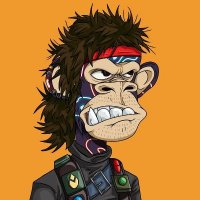 medointensivest ❤️ Memecoin (@jamisona3e0zg) 's Twitter Profile
