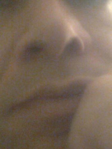 PhilABam's profile picture. Y'know tramps like us, we were born to pay.