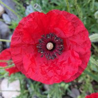 Bea Tack (@bea_tack) 's Twitter Profile Photo Bea Tack (@bea_tack) 's Twitter Profile Photo