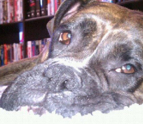 Kliger243's profile picture. 