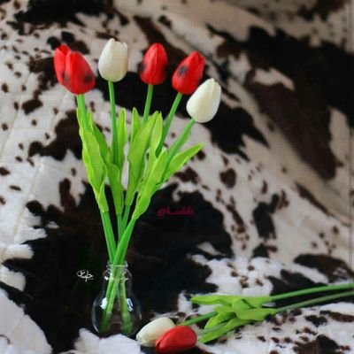 wsamjmyl441599's profile picture. ابحث عن الوفاء