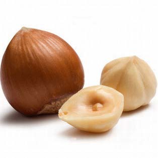 FunduK_'s profile picture. Скромный парень, который любит технику, интересуется финансами и занимается спортом :) А ещё он любит фундук :-)