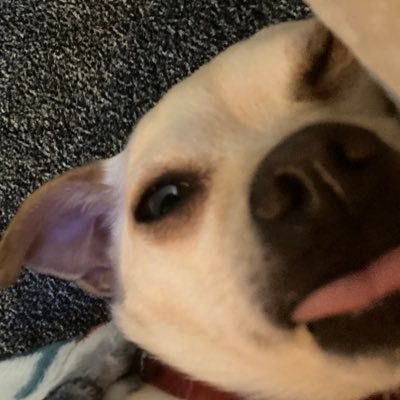 MilaidyJ's profile picture. 