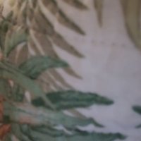 ABCDEG (@laurabeck85) 's Twitter Profile