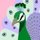 Jan Rog - @jrog4136 - Twitter