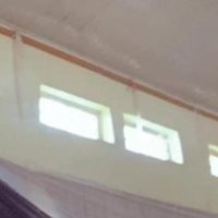 Sandra Lewis (@trusty__0) 's Twitter Profile