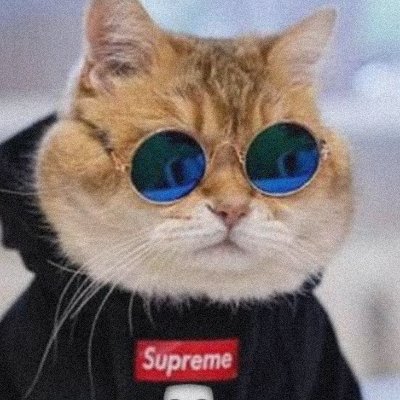 Iksankun1's profile picture. Hallo