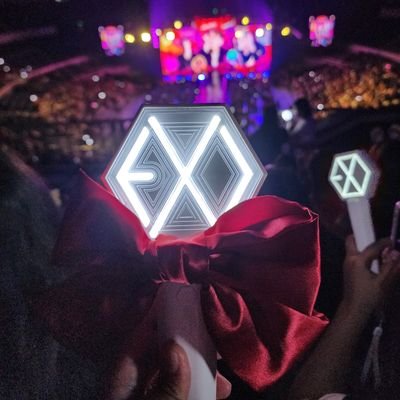 Fan account | EXO-L | EriGom | Dandanie | ISFP