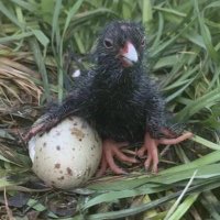 Jqck (@jacksamnord) 's Twitter Profile
